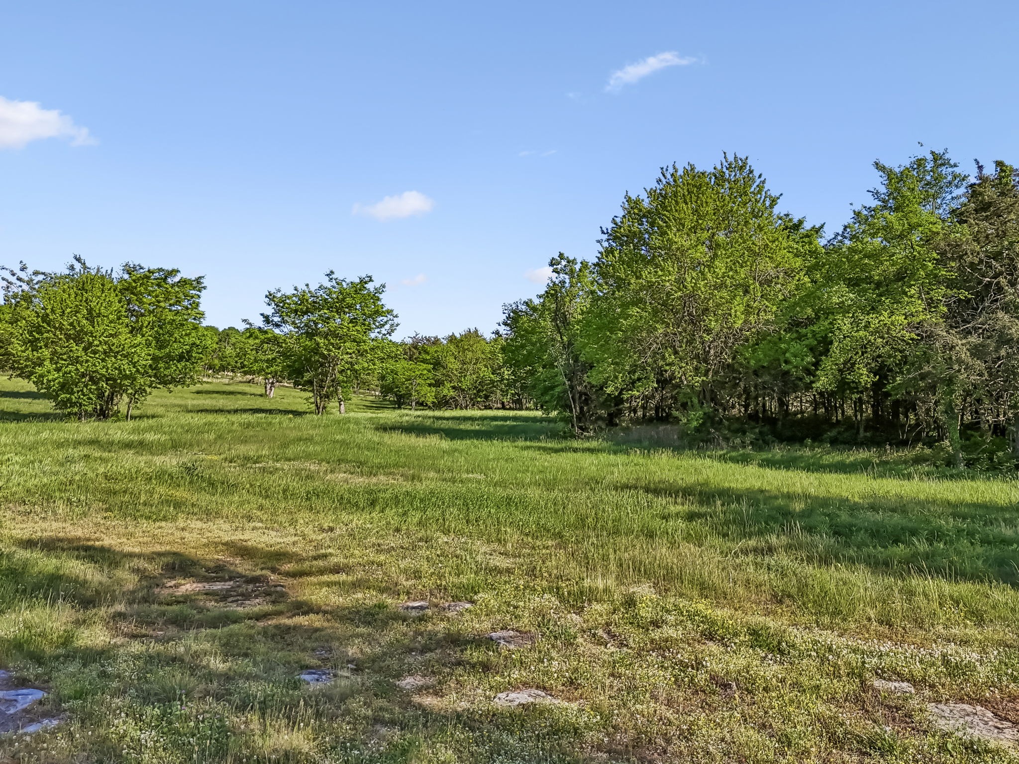 10567 Versailles Rd Property Photo 24