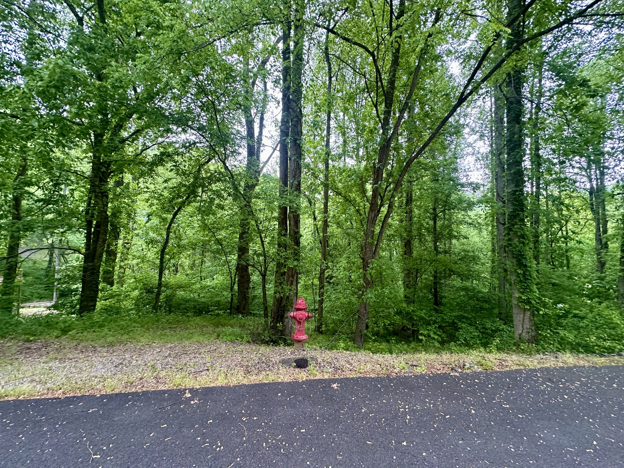 0 Baymont Dr Property Photo 1