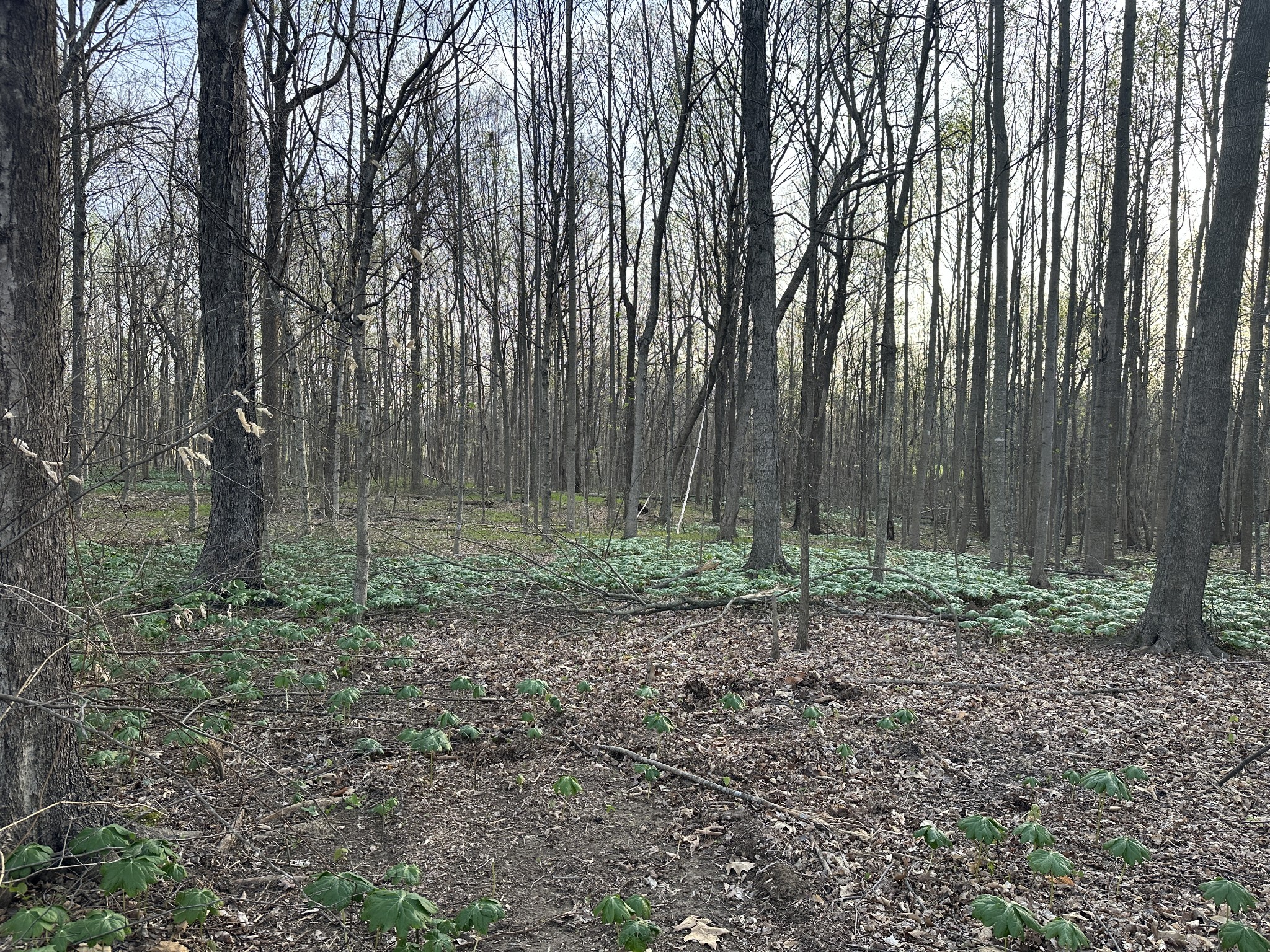 2173 Highway 259 Property Photo 1