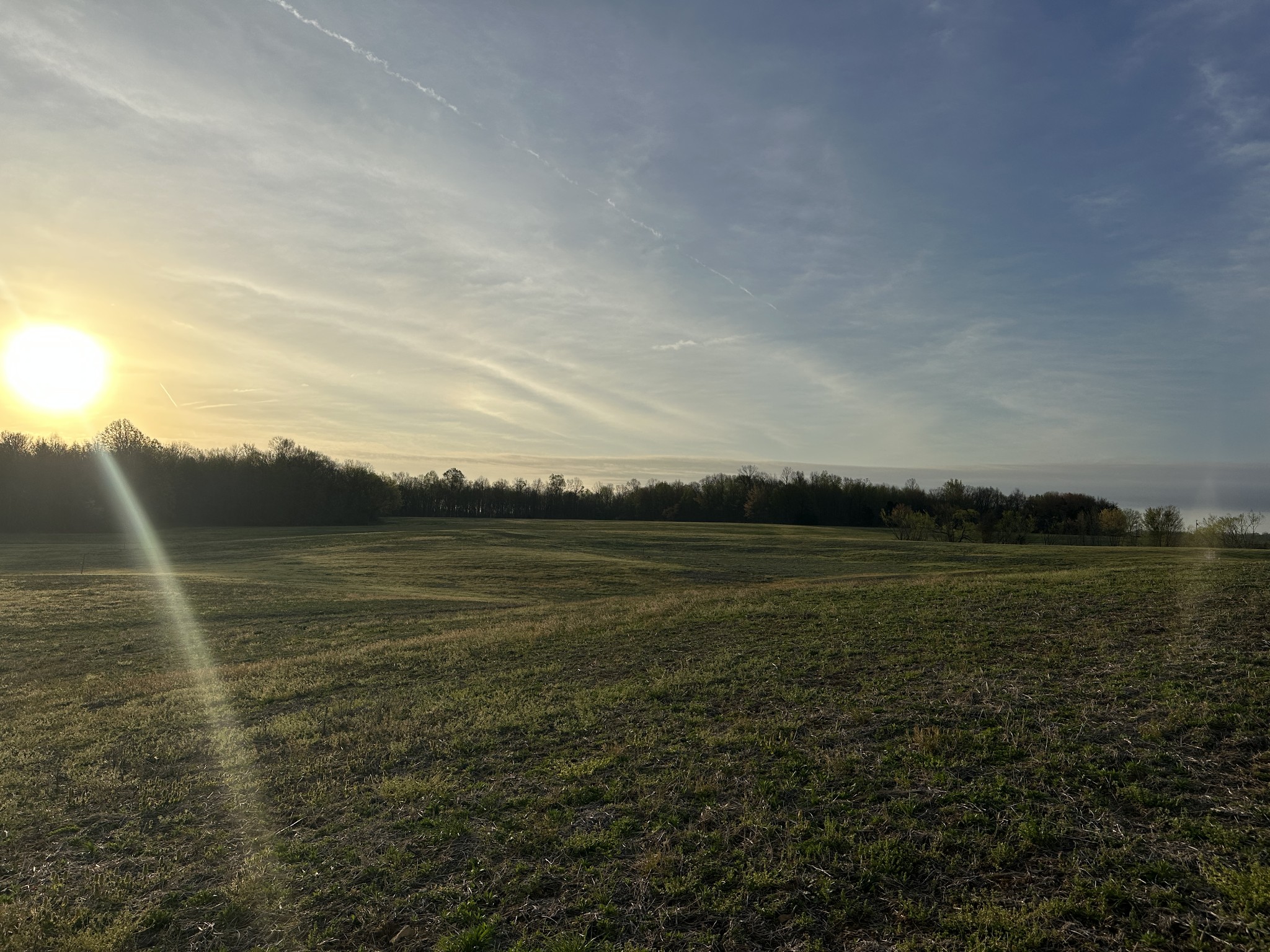2141 Highway 259 Property Photo 1