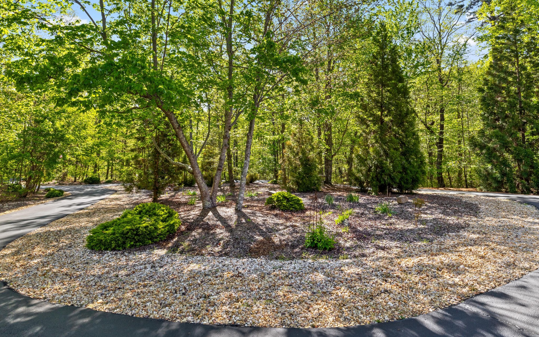 240 Horseshoe Bend Road, E Property Photo 48