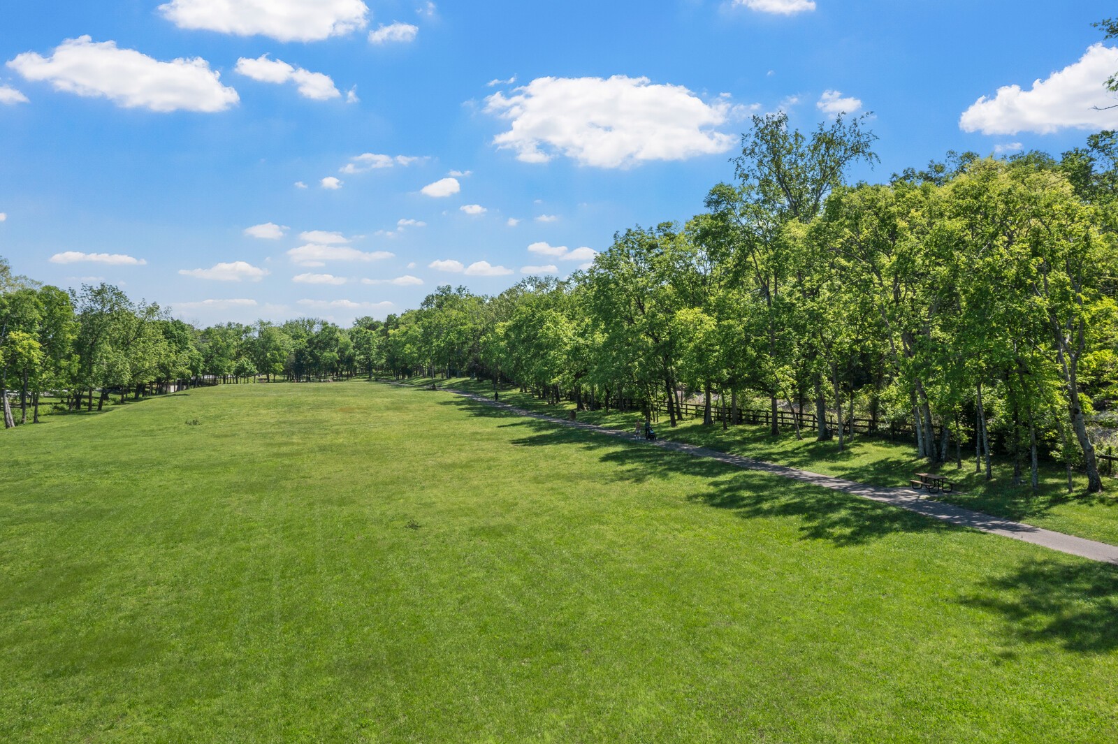 124 Ashcrest Pt Property Photo 5