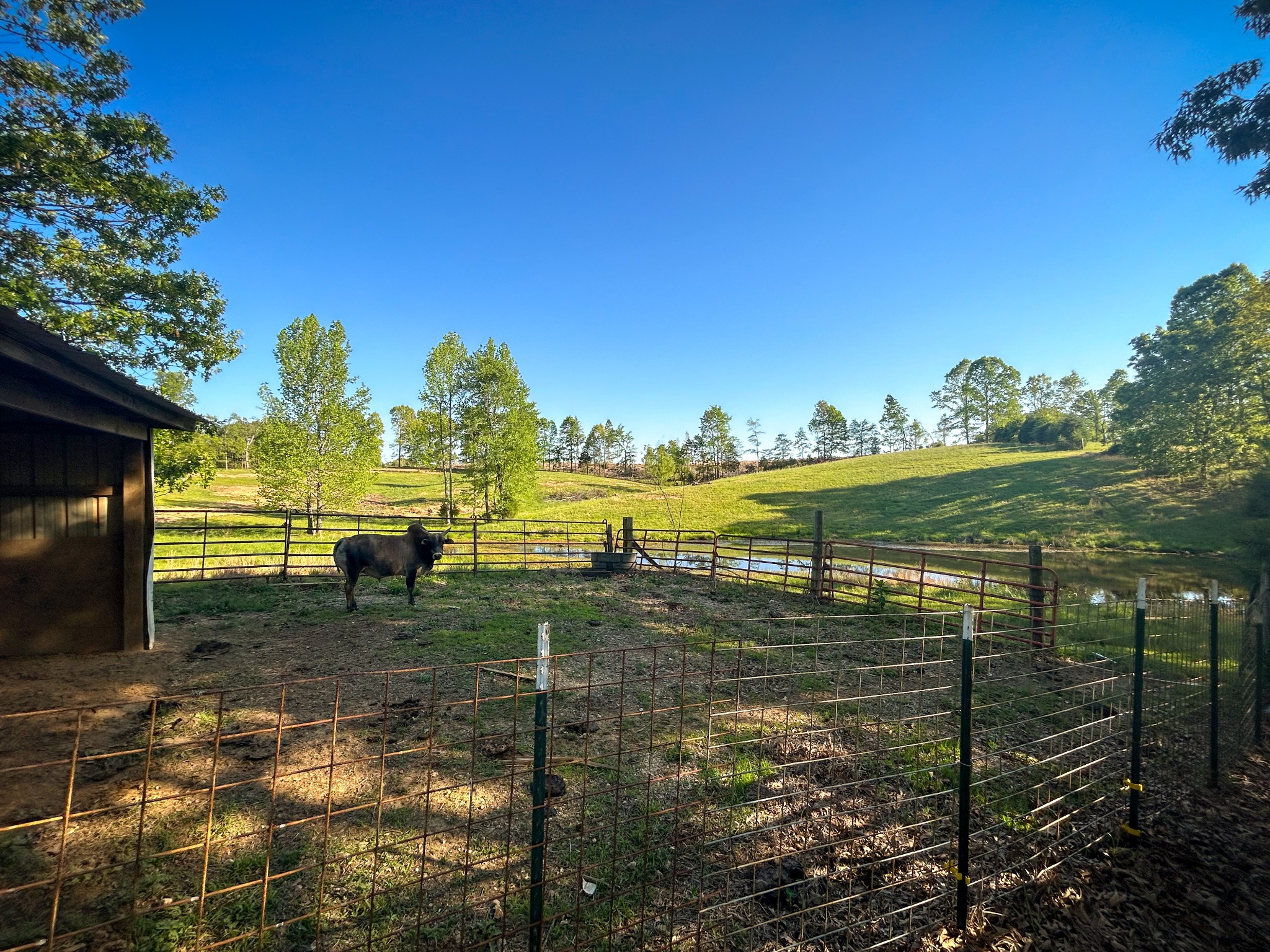 1185 Blackburn Rd Property Photo 3