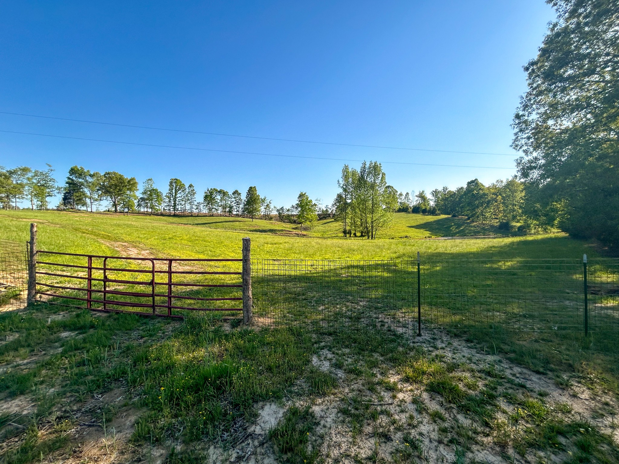 1185 Blackburn Rd Property Photo 5