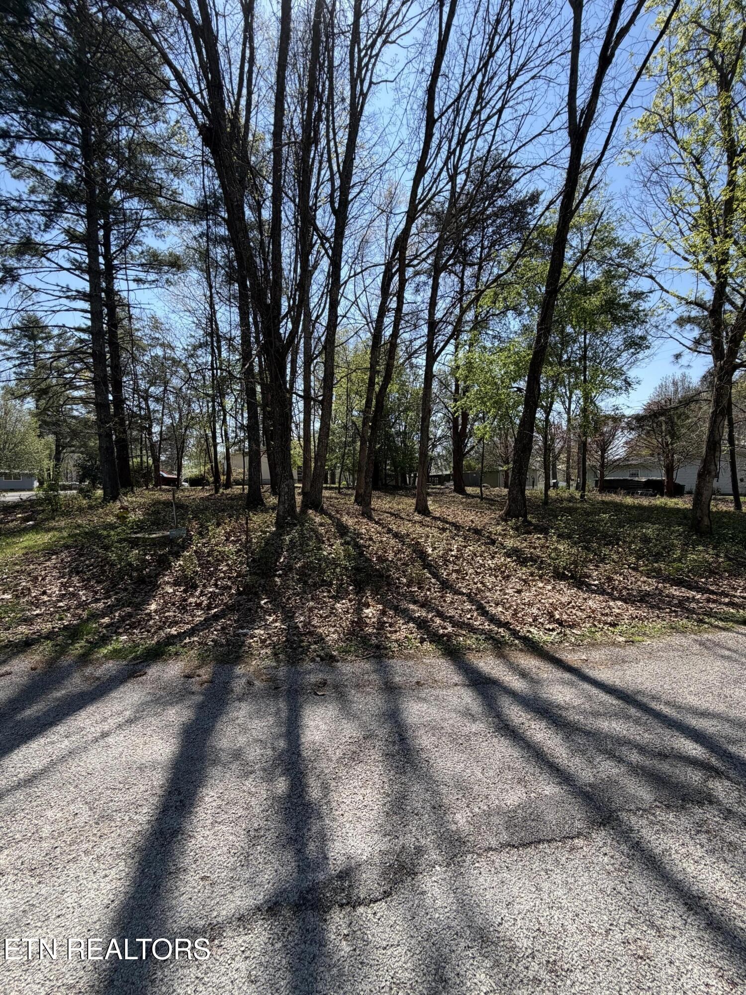 319 Dartmoor Drive Property Photo 1