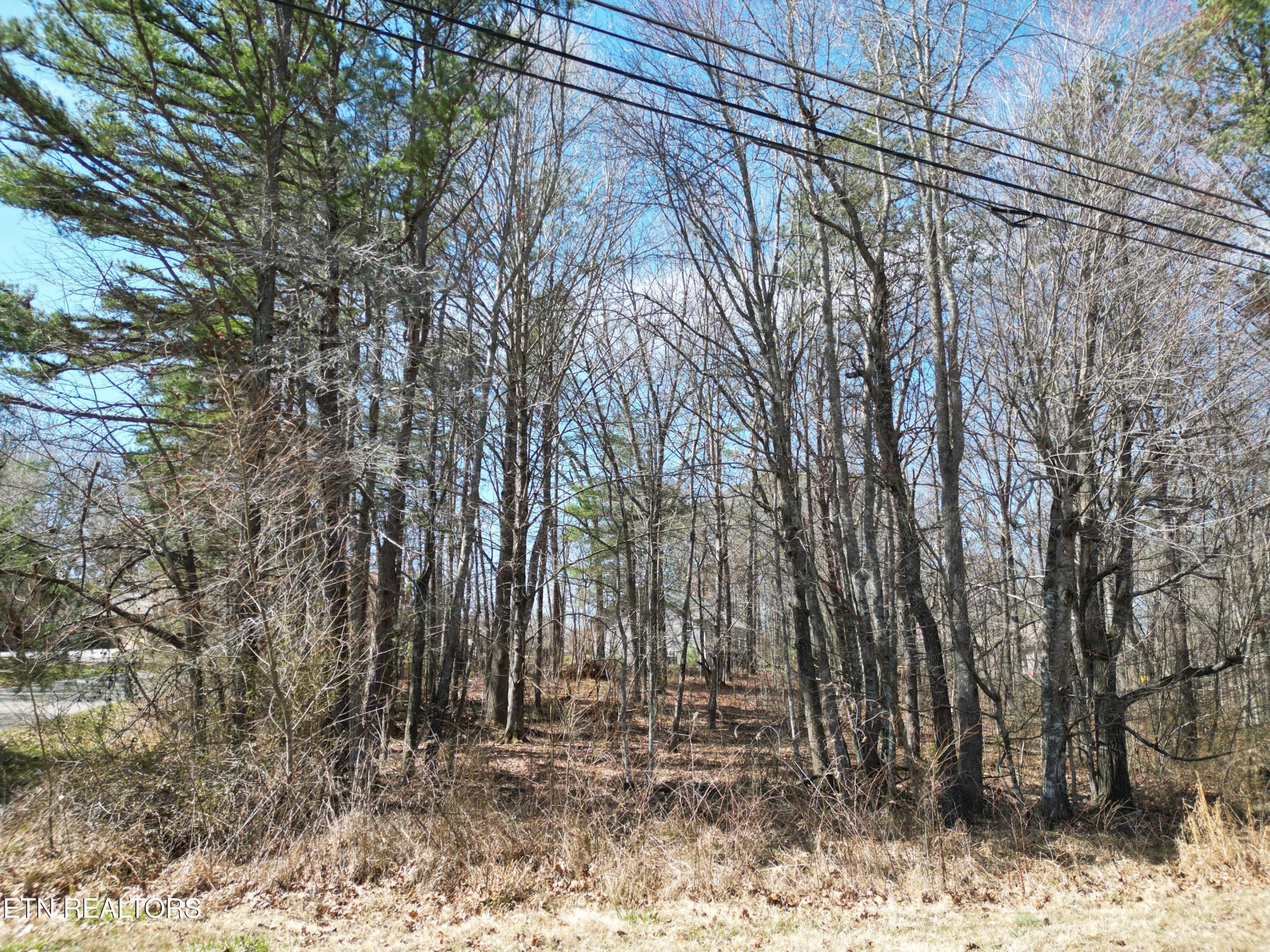 556 Westchester Drive Property Photo 1