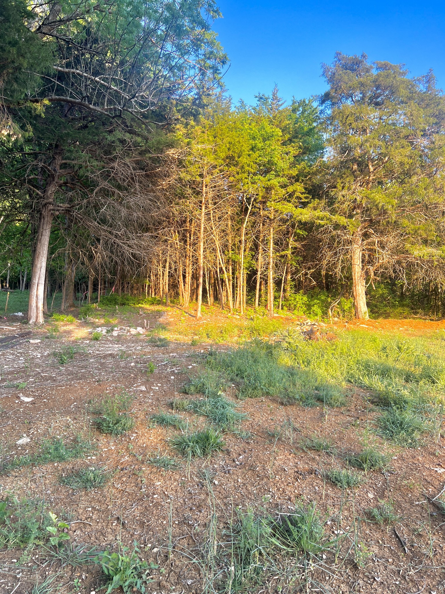 12177 Manchester Pike