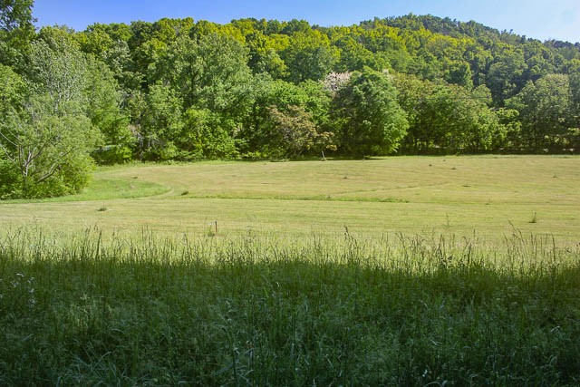 0 Harpeth Peytonsville Rd Property Photo 1