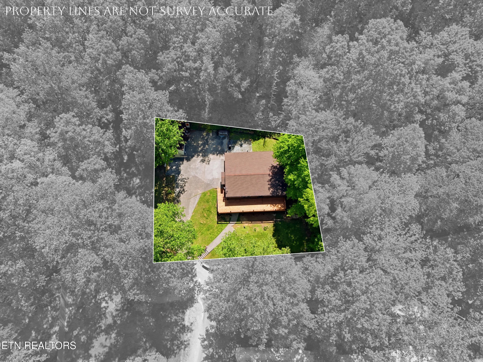 118 Clark Lane Property Photo 56