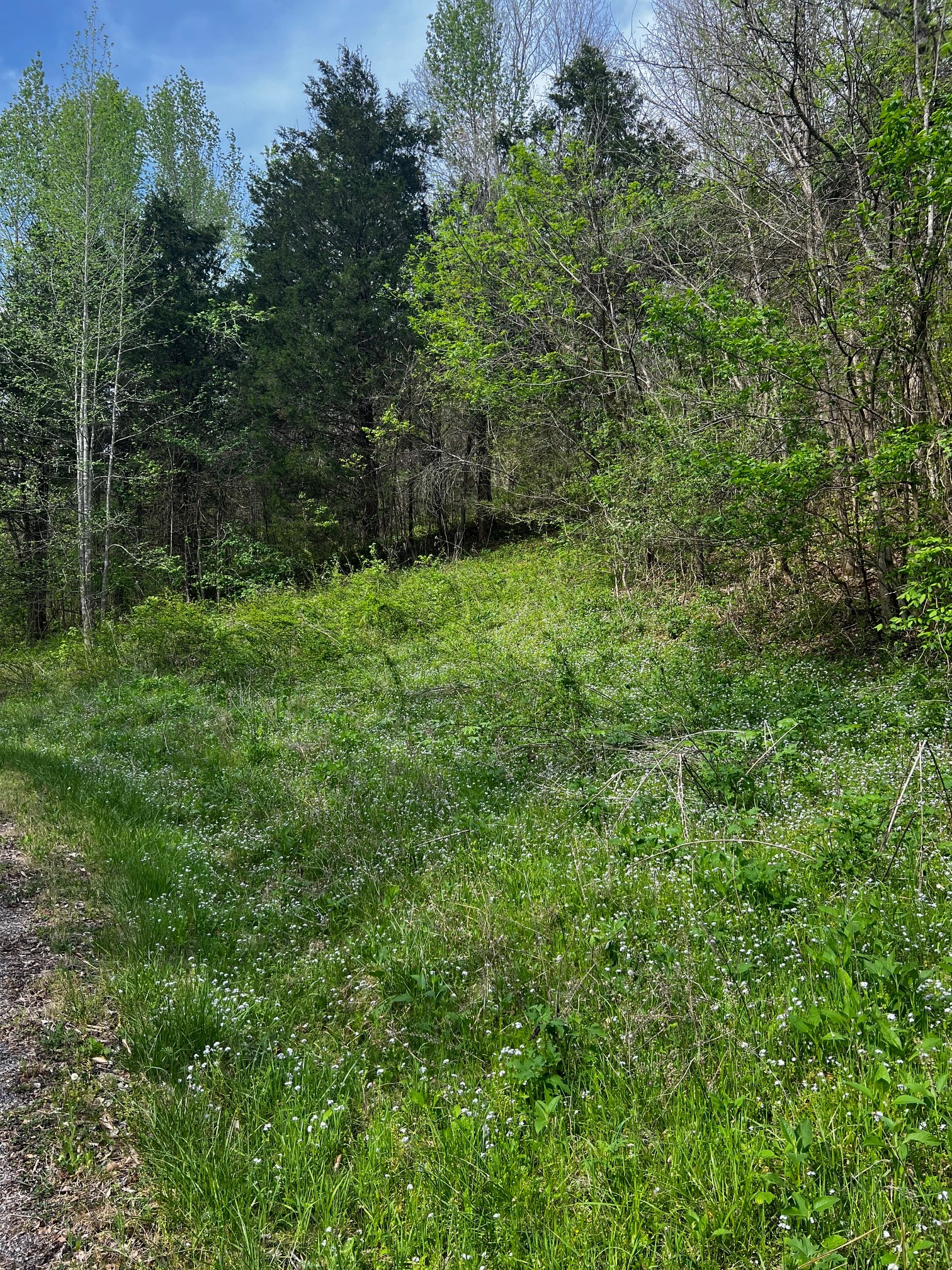 0 Weber Lane Property Photo 1