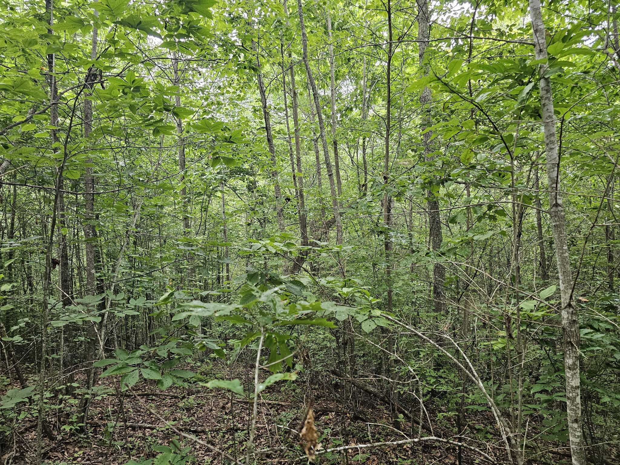 26131 State Route 108 Property Photo 8