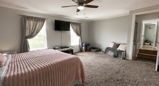5129 Monet Ct Property Photo 21