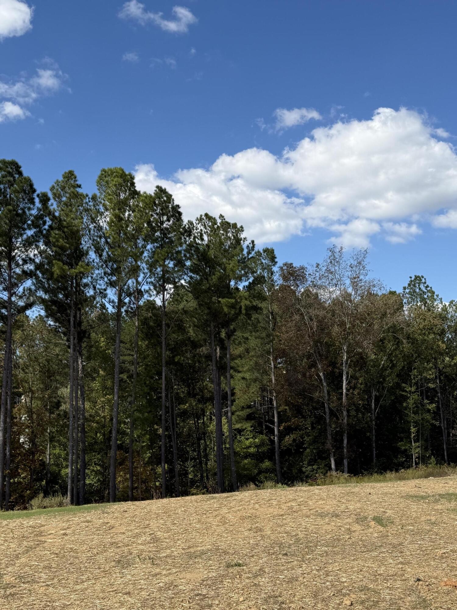 5 Creekwood Property Photo 1