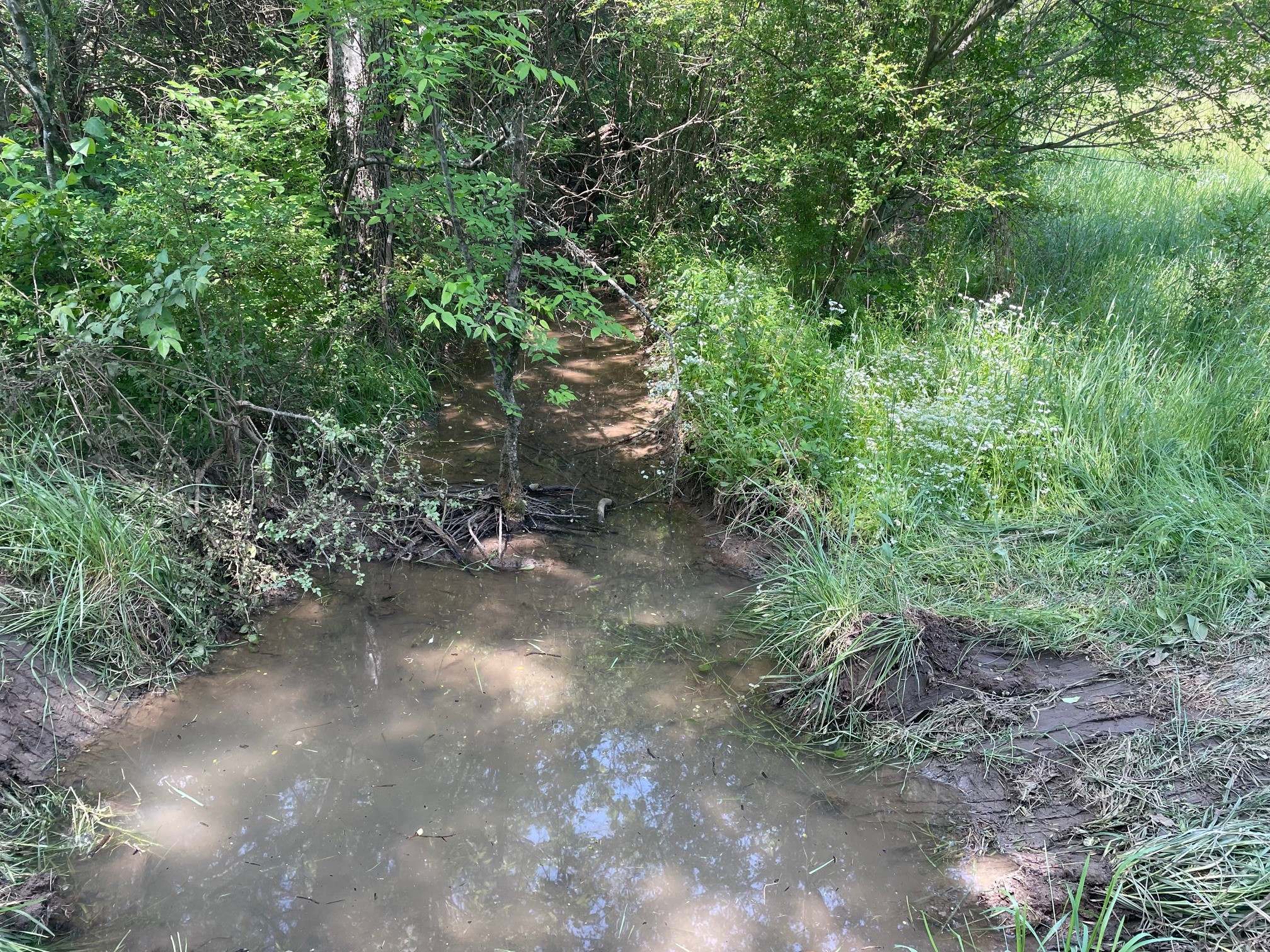 0 Maynard Lane Property Photo 1