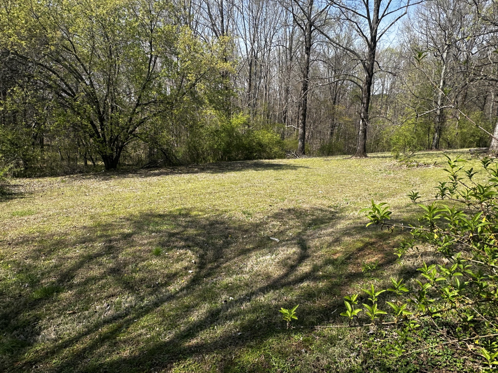 91 Lambs Ferry Rd Property Photo 5