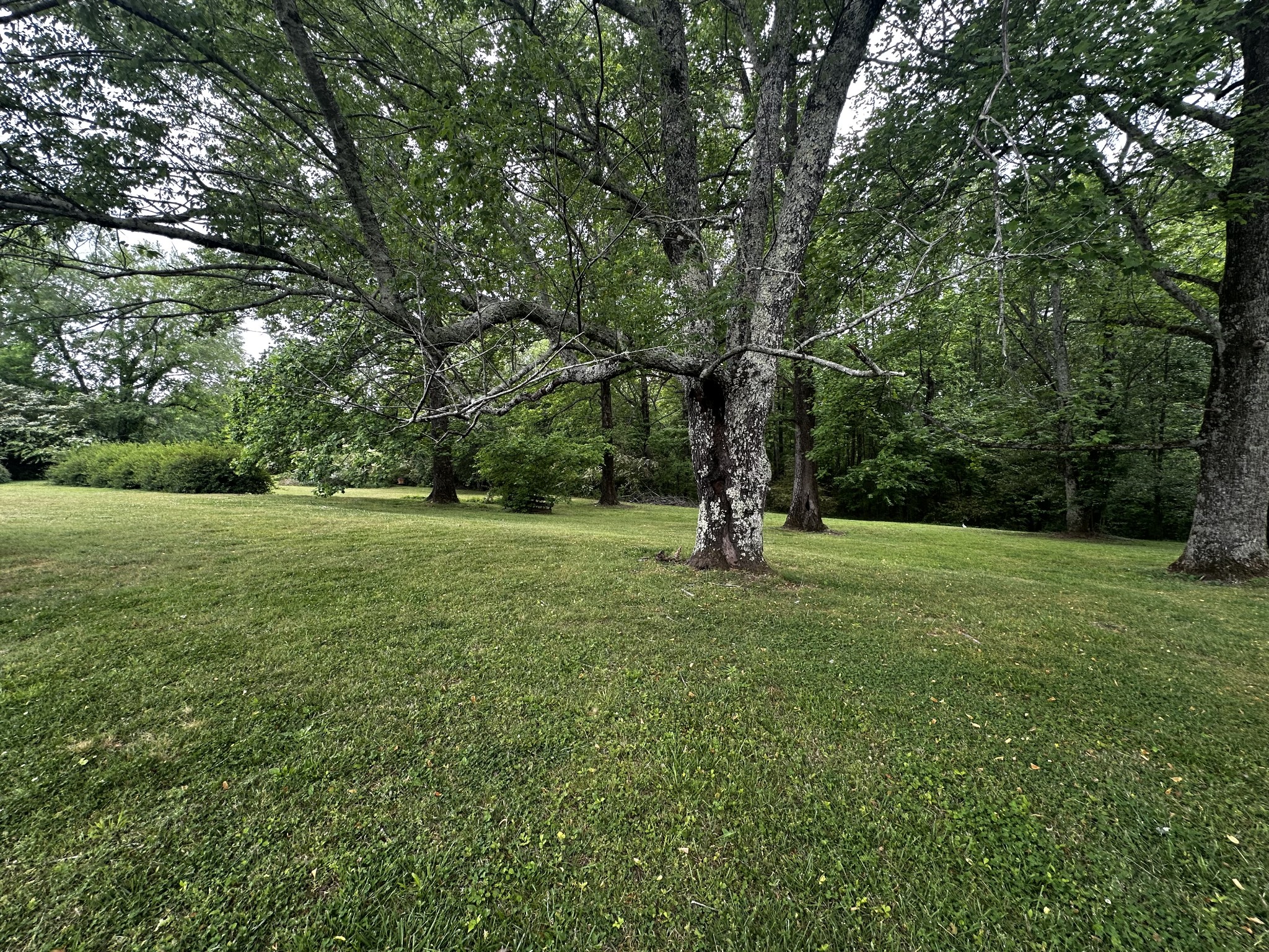 91 Lambs Ferry Rd Property Photo 8