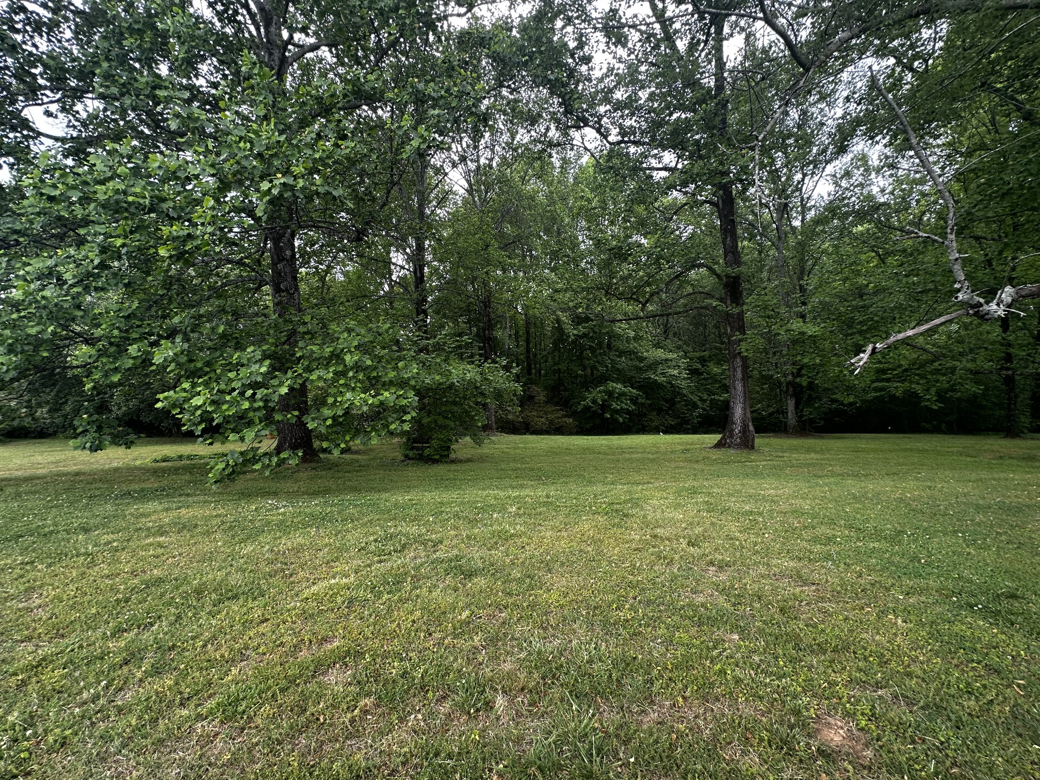 91 Lambs Ferry Rd Property Photo 10