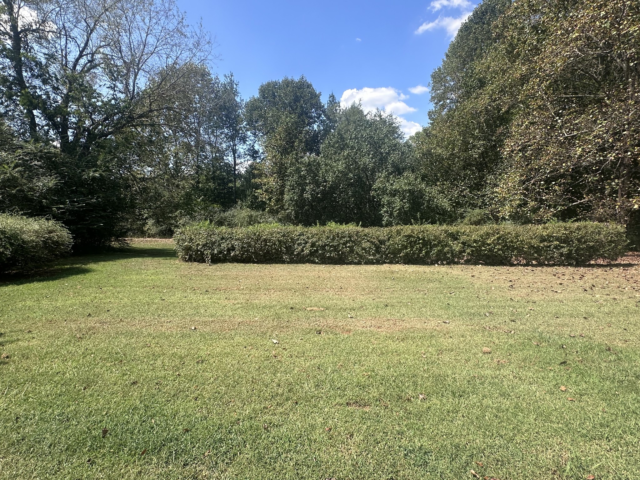 91 Lambs Ferry Rd Property Photo 18