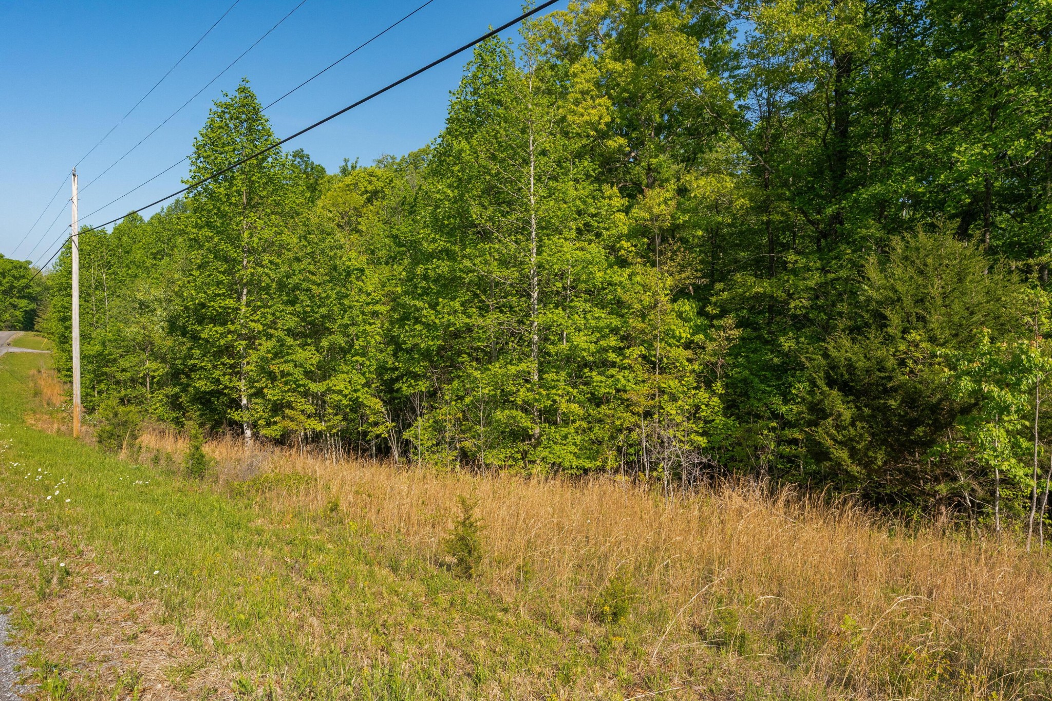 0 Jackson Point Road Property Photo 5