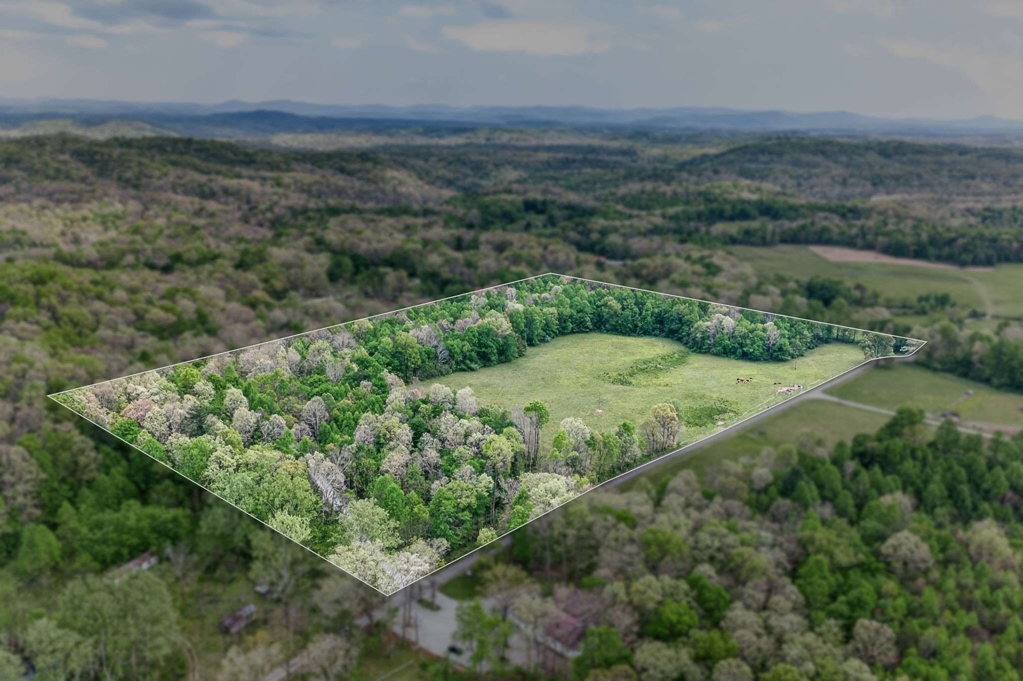 0 Honey Creek Loop Rd Property Photo 1