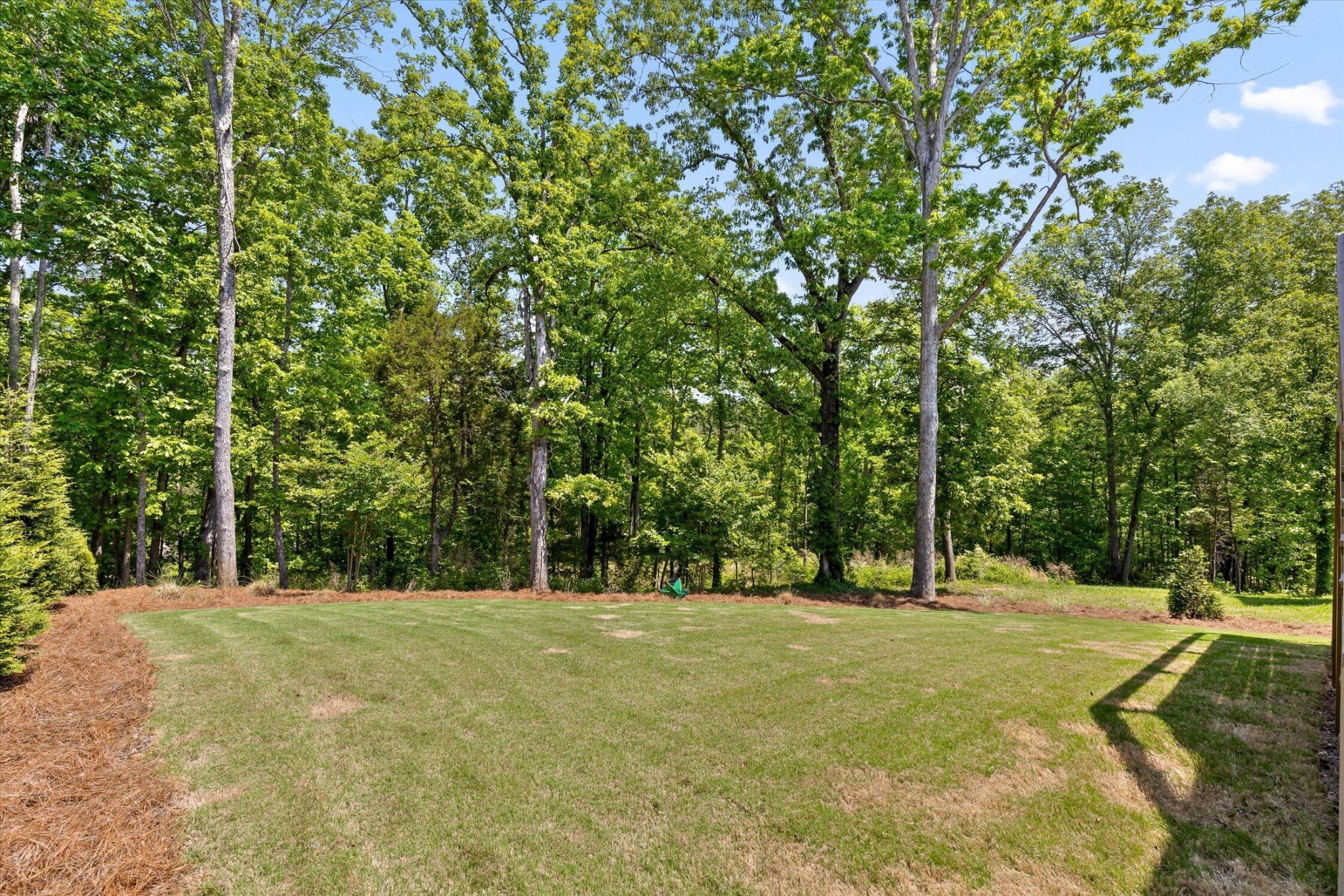 5962 Cashmere Lane Property Photo 52