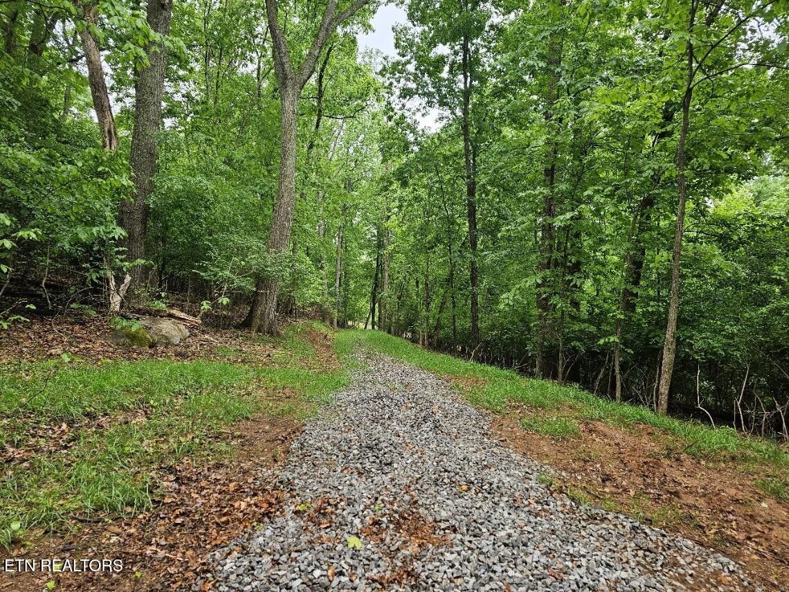 2050 Jones Bend Rd Property Photo 26