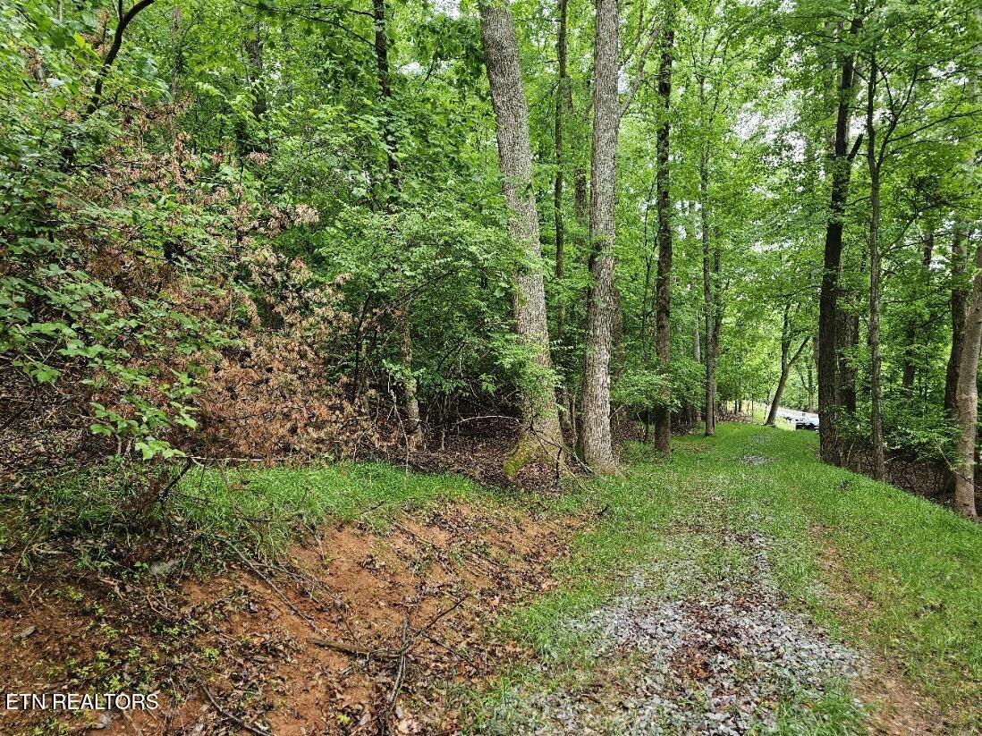 2050 Jones Bend Rd Property Photo 27