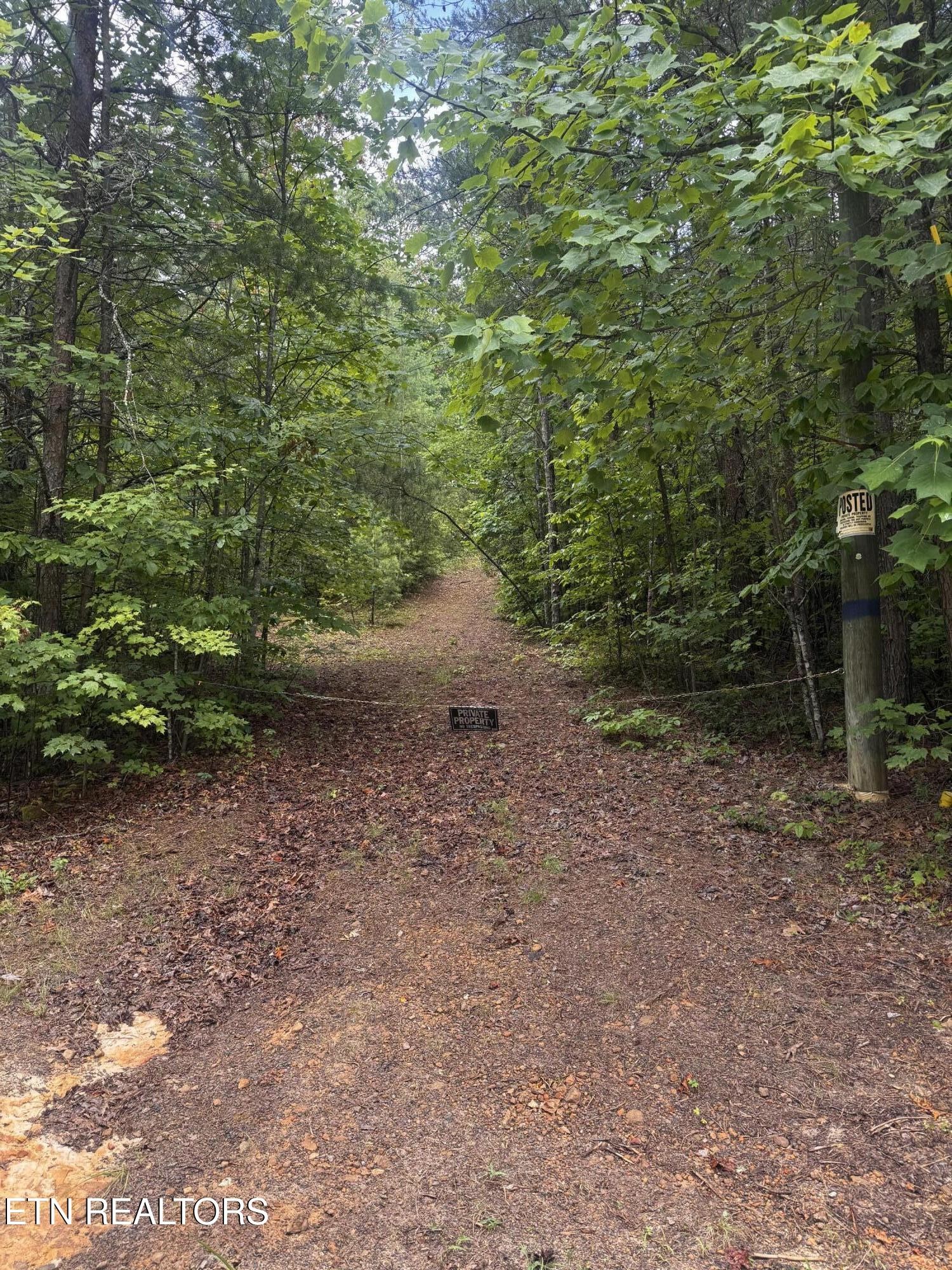 8 Bear Rd