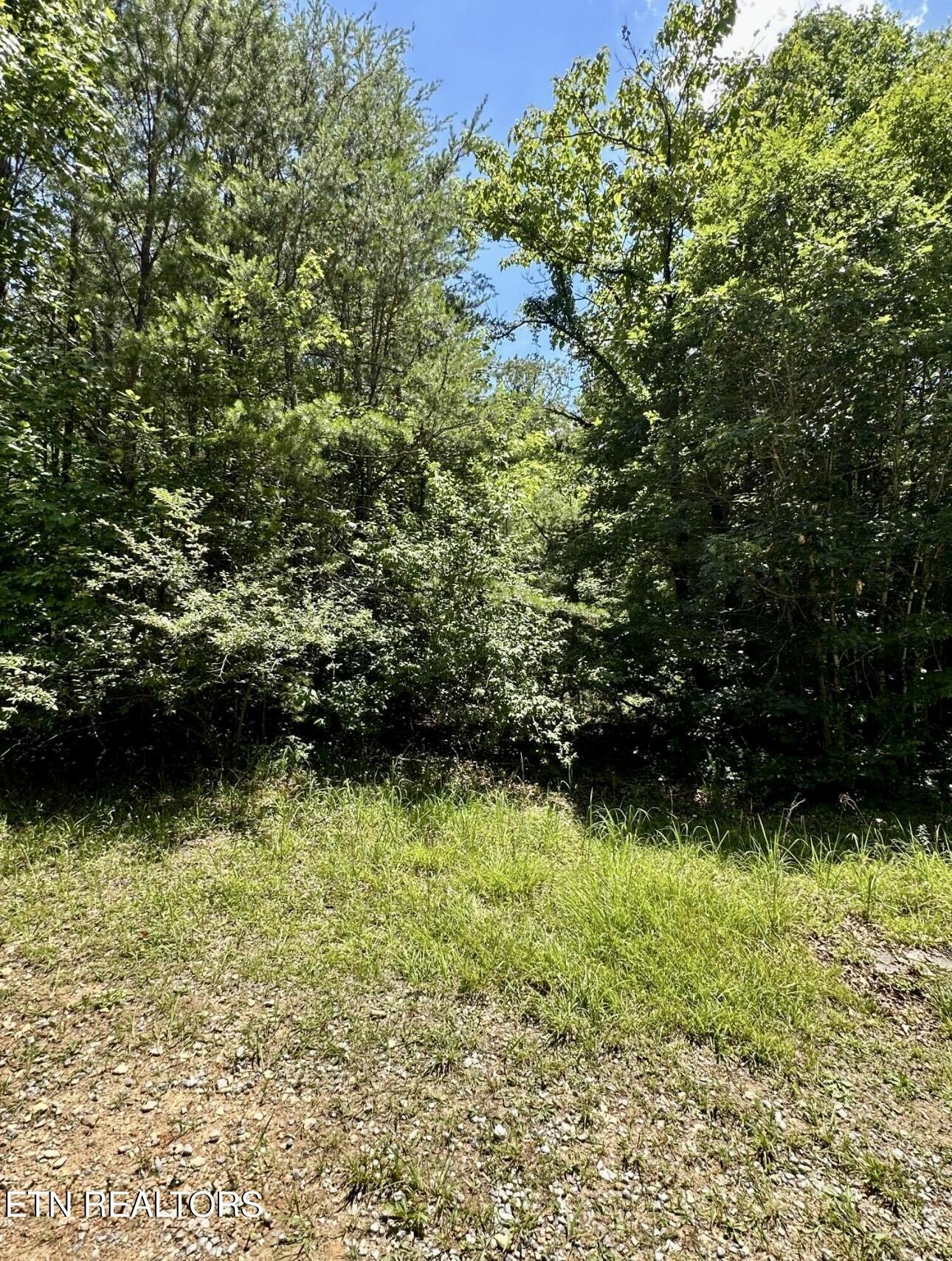 8 Bear Rd Property Photo 2