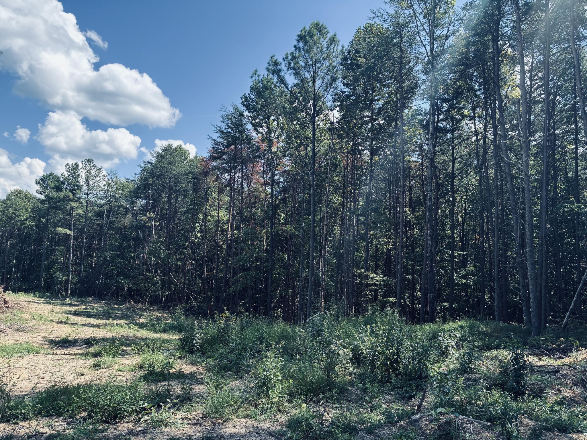 360 Bootleg Bend Property Photo 1