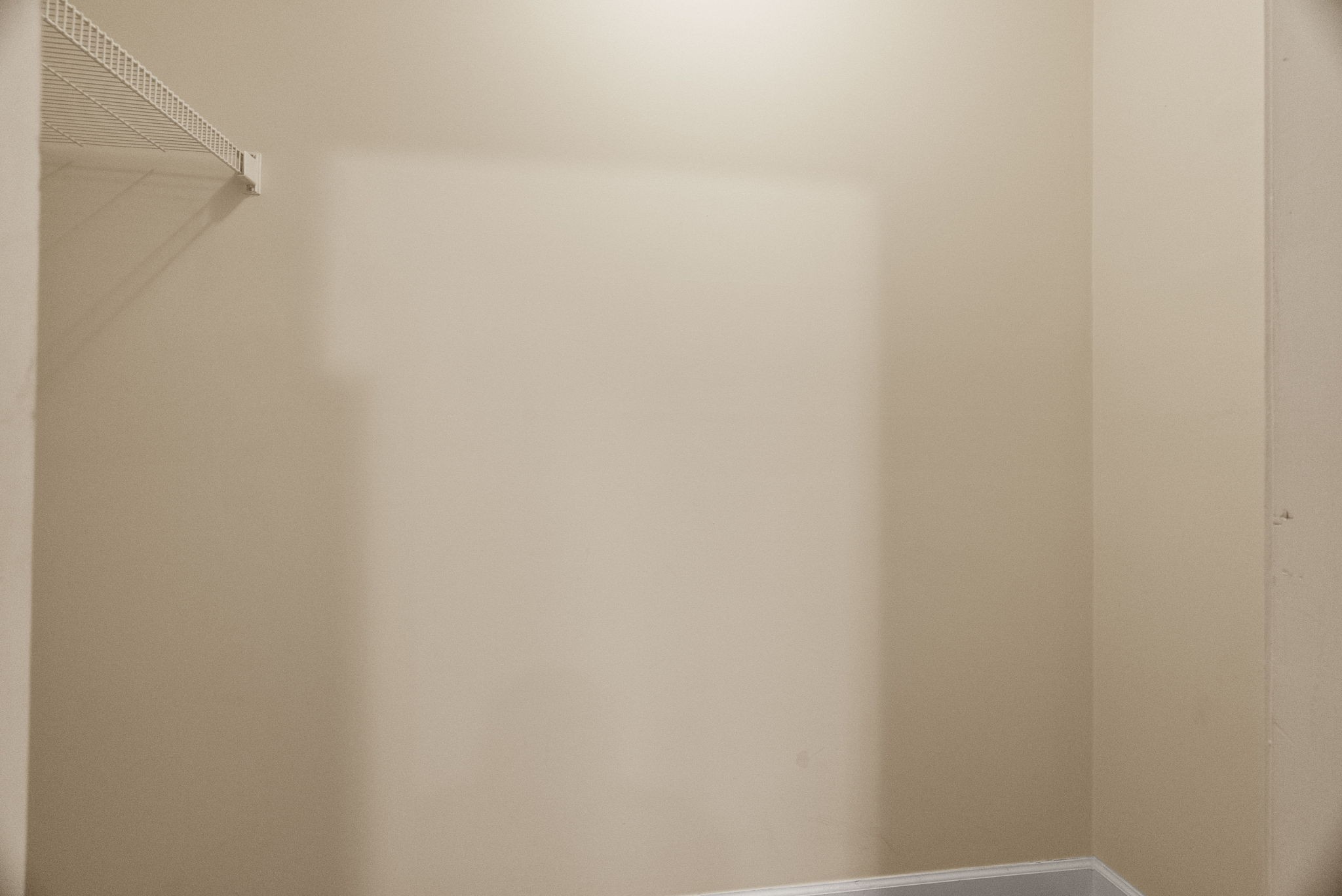 8501 Burnham Ln Property Photo 16