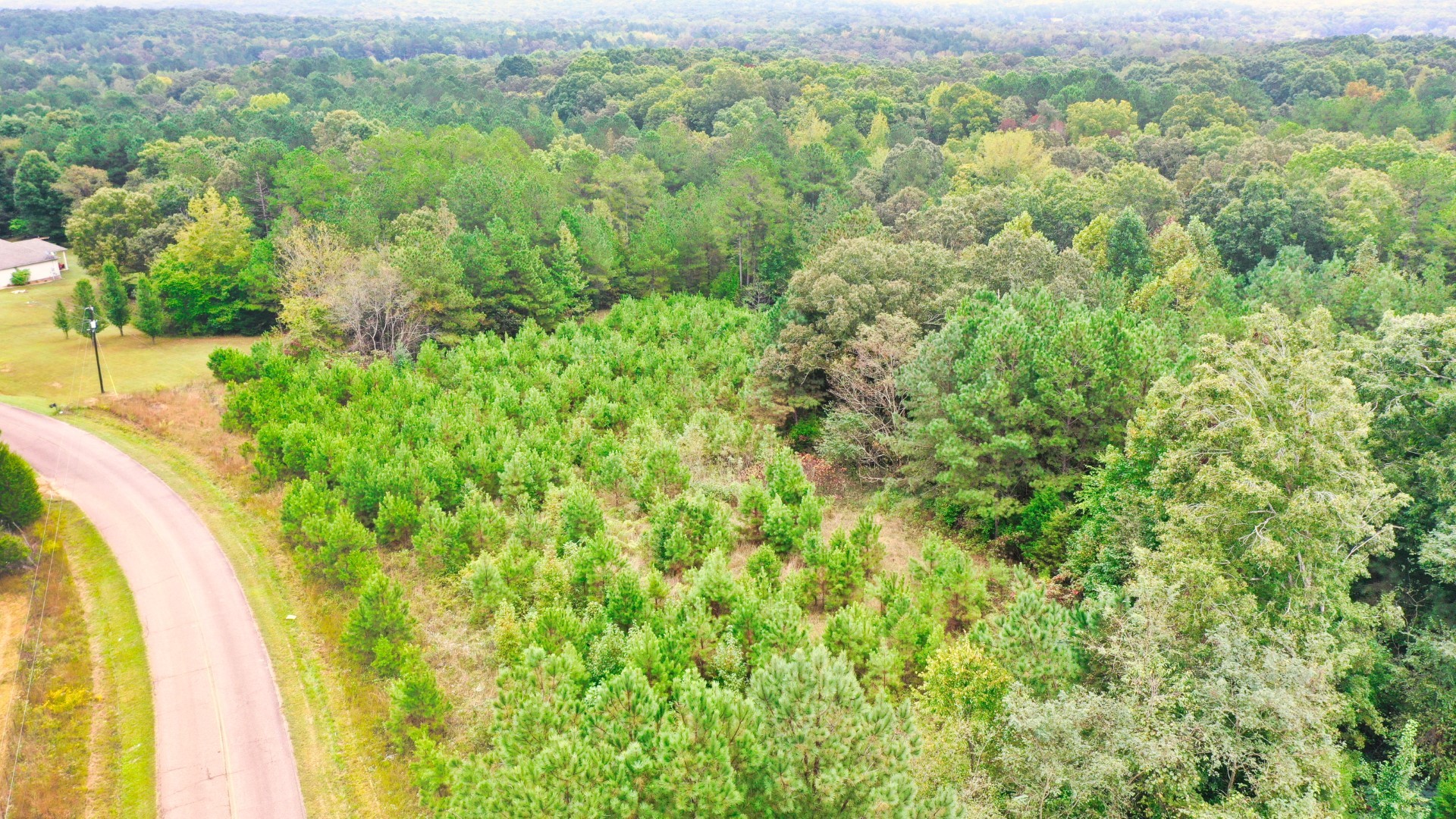 0 Enville Road Property Photo 14