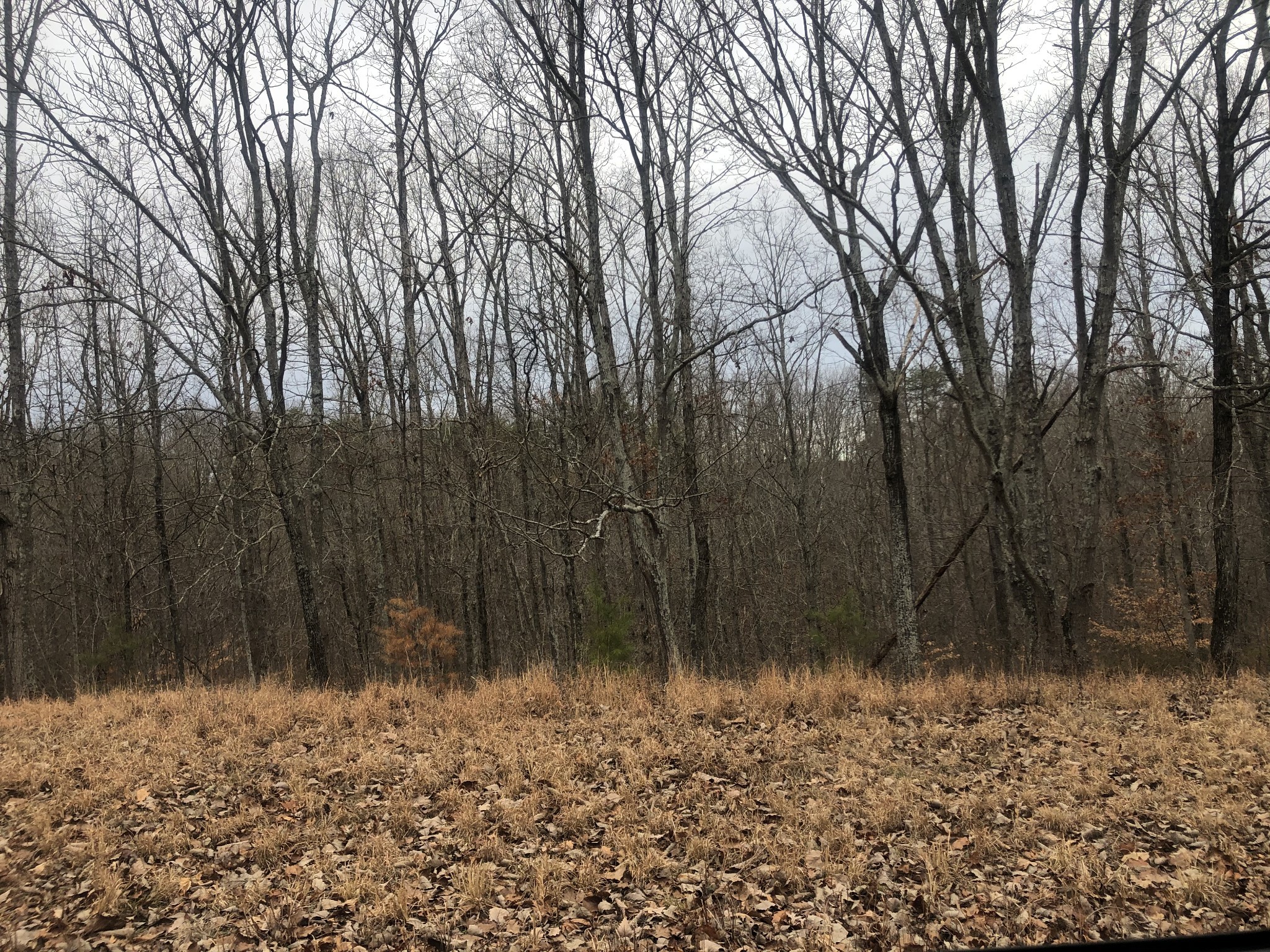 99 Deepwood Dr