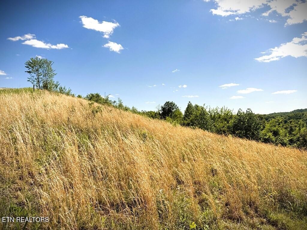 100 Mallard Lane Property Photo 1