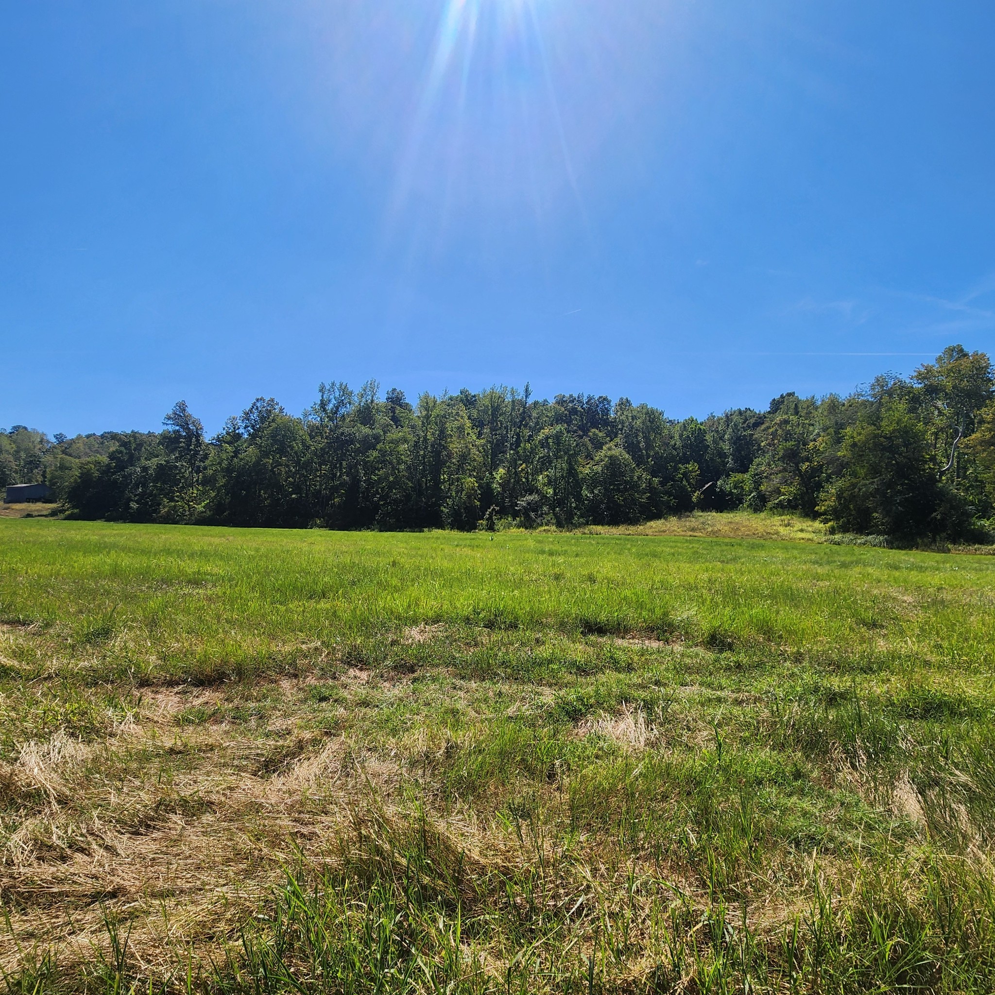 229 Bob Walker Rd Property Photo 1