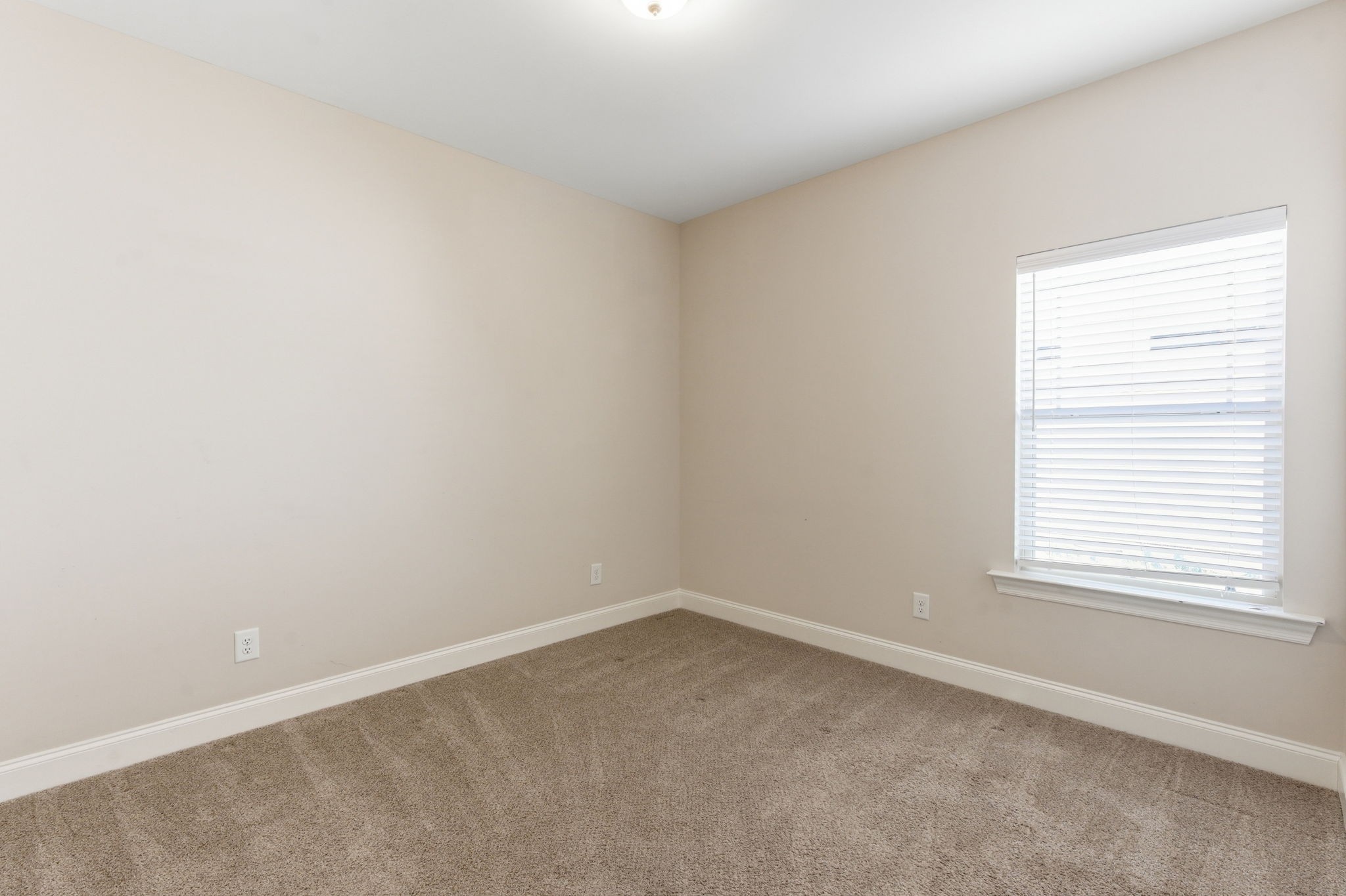 1234 Cotillion Dr Property Photo 27