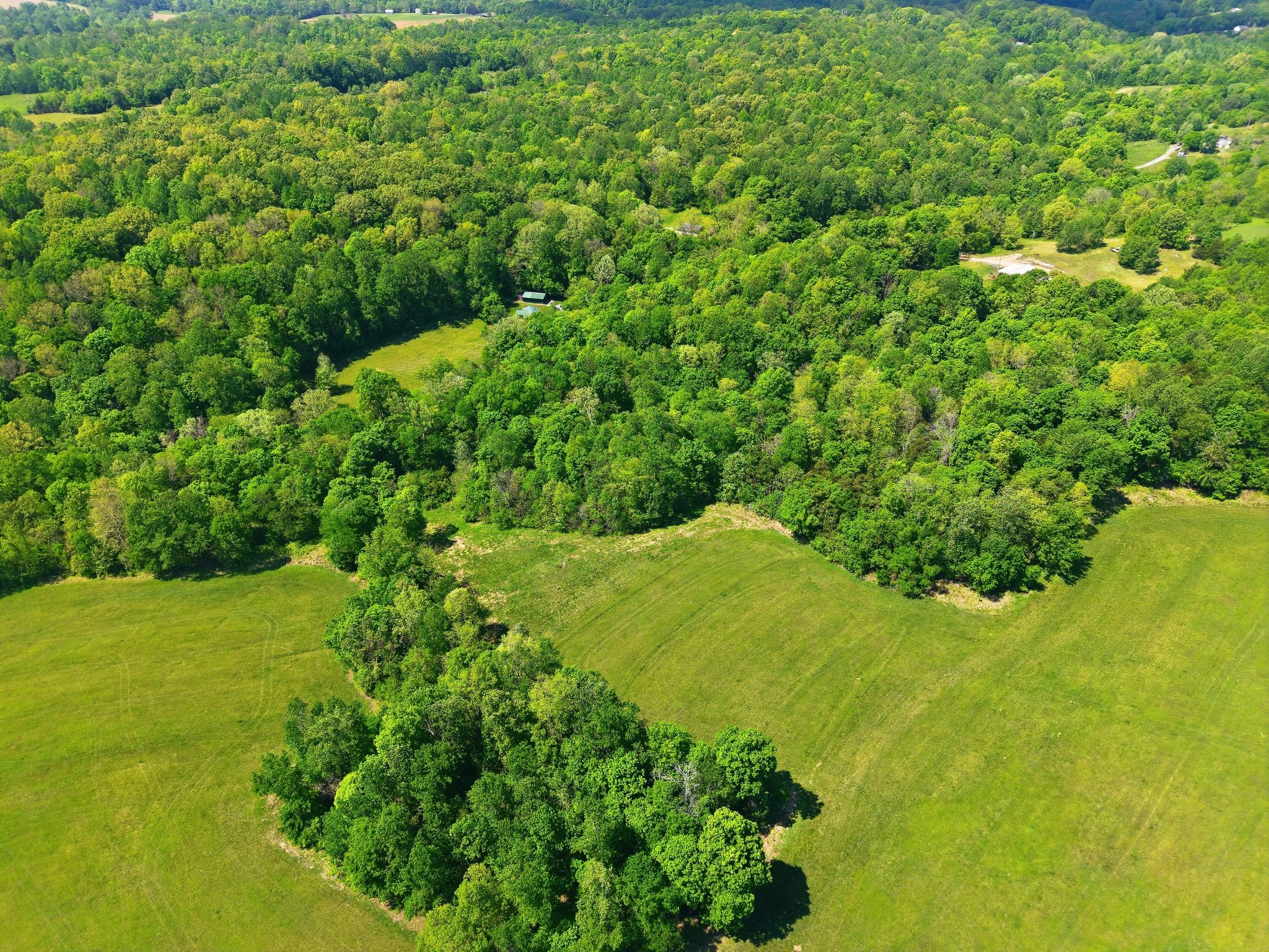 0 Freeman Loop Property Photo 18