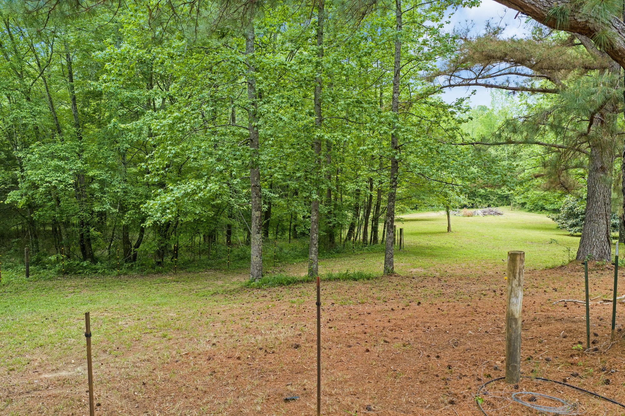 2827 Chapel Hill Rd Property Photo 5