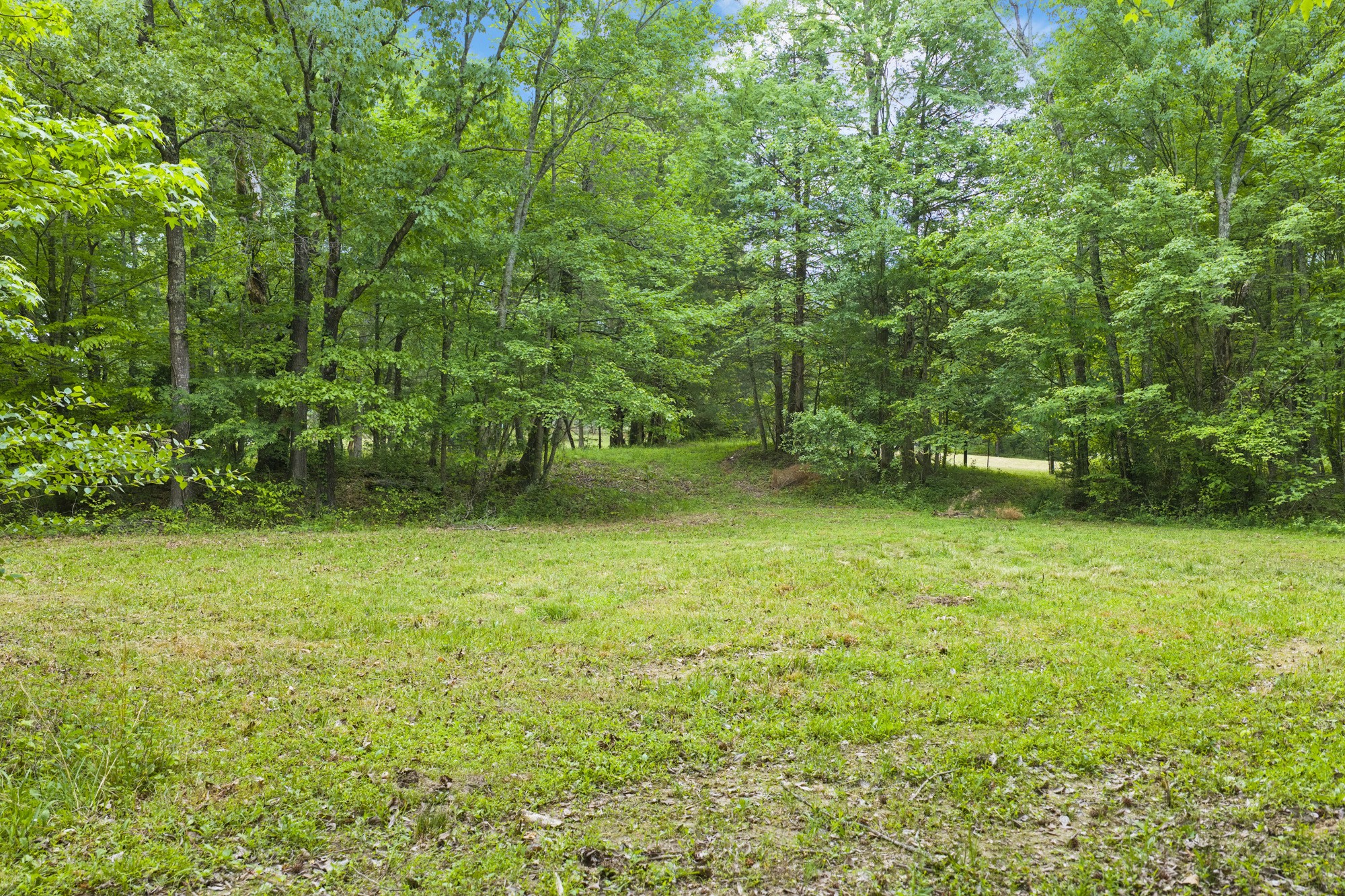 2827 Chapel Hill Rd Property Photo 31