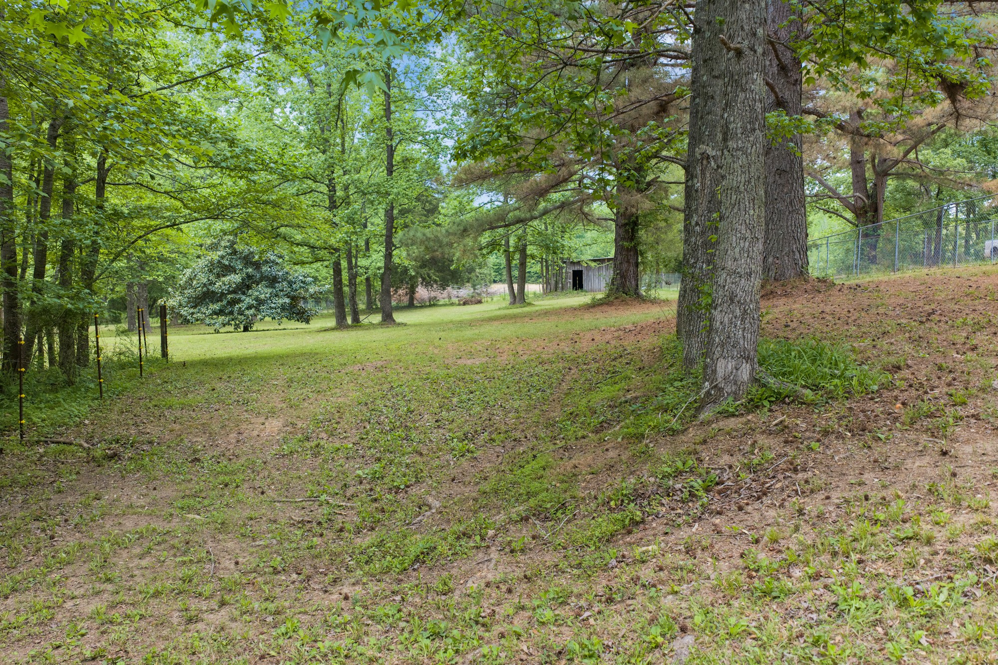 2827 Chapel Hill Rd Property Photo 32