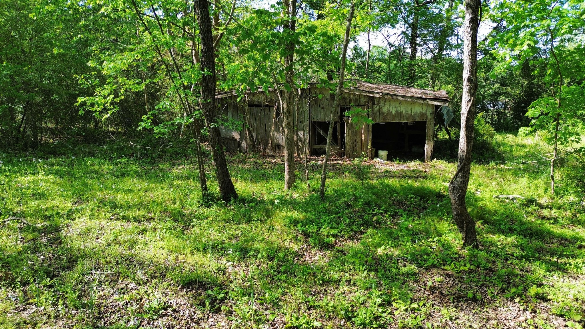 3321 Petway Rd Property Photo 1