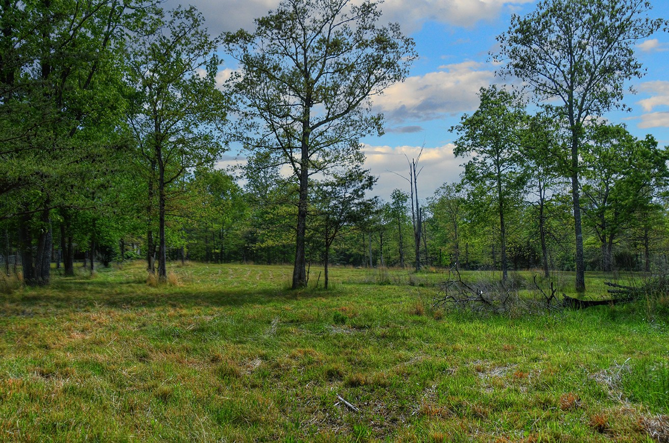 607 Monteagle Falls Rd Property Photo 4