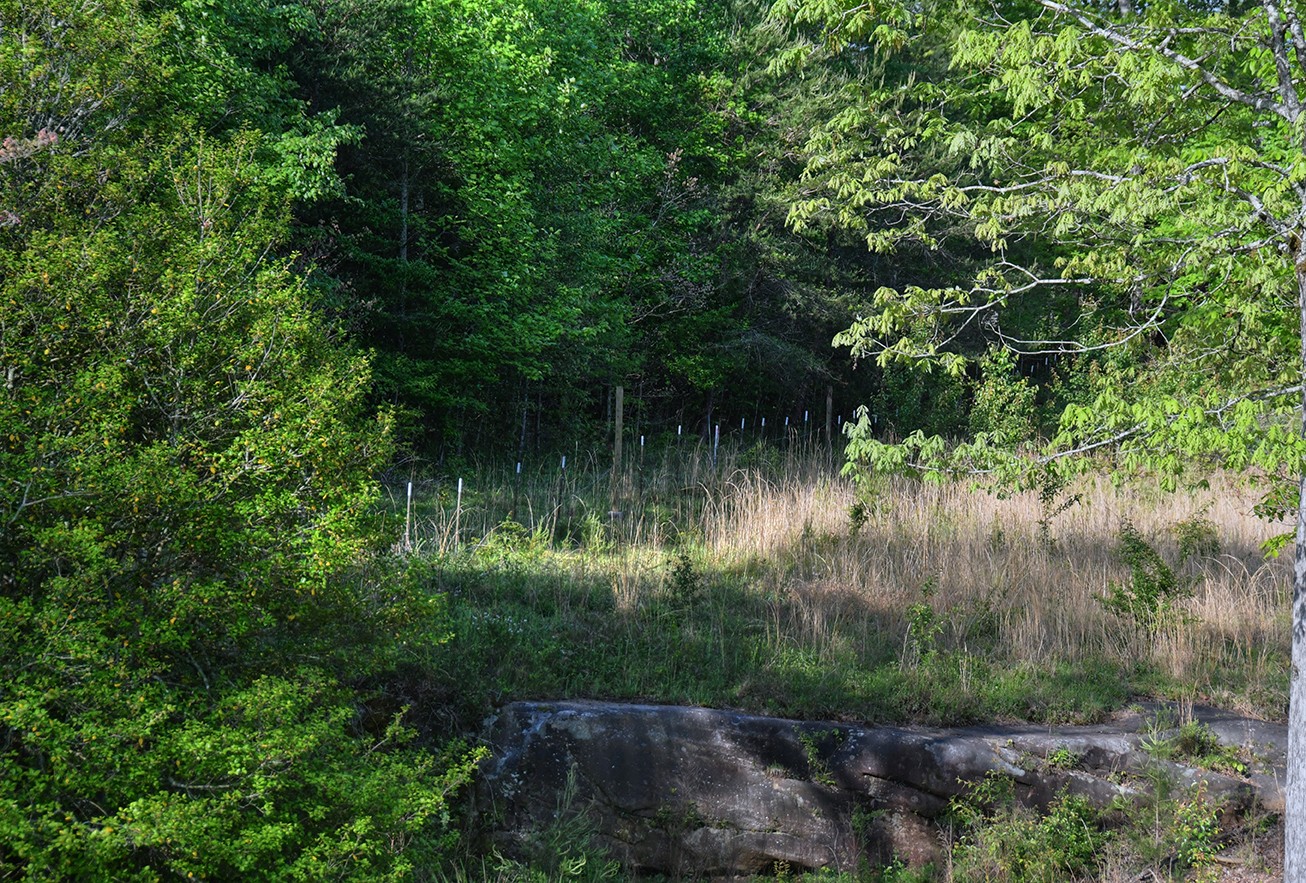 607 Monteagle Falls Rd Property Photo 7