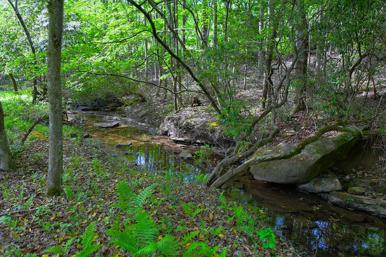 607 Monteagle Falls Rd Property Photo 8