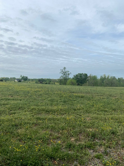 0 Johns Creek Road Property Photo 1