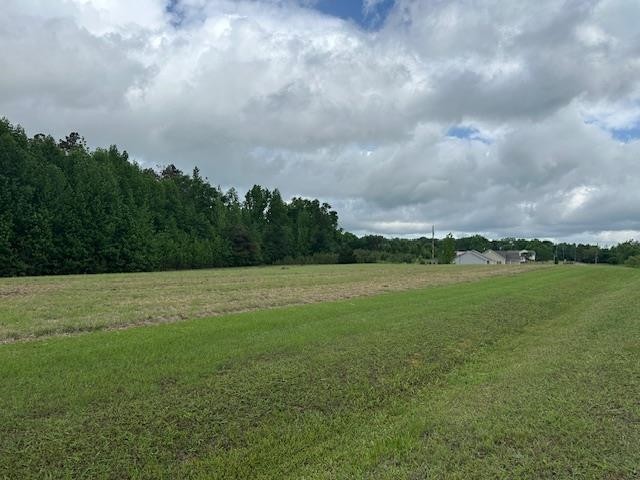 0 Pear Blossom Ln Property Photo 1