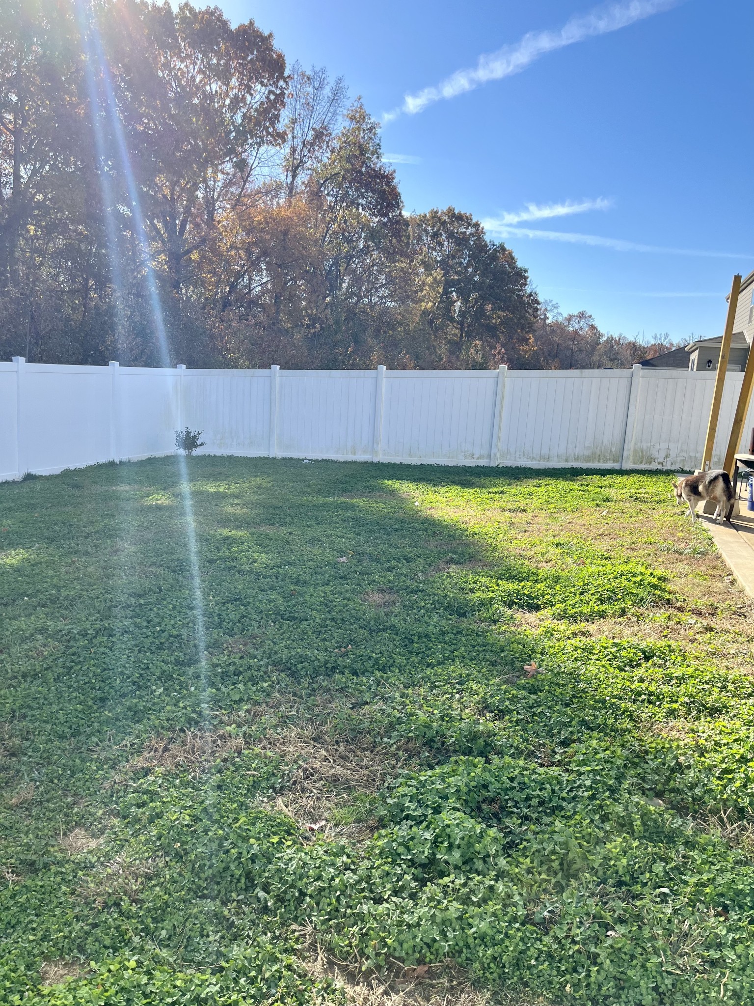 7085 Scotlyn Way Property Photo 30
