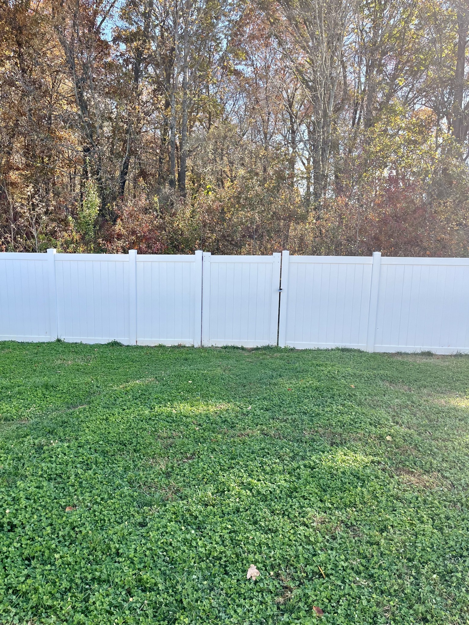 7085 Scotlyn Way Property Photo 31