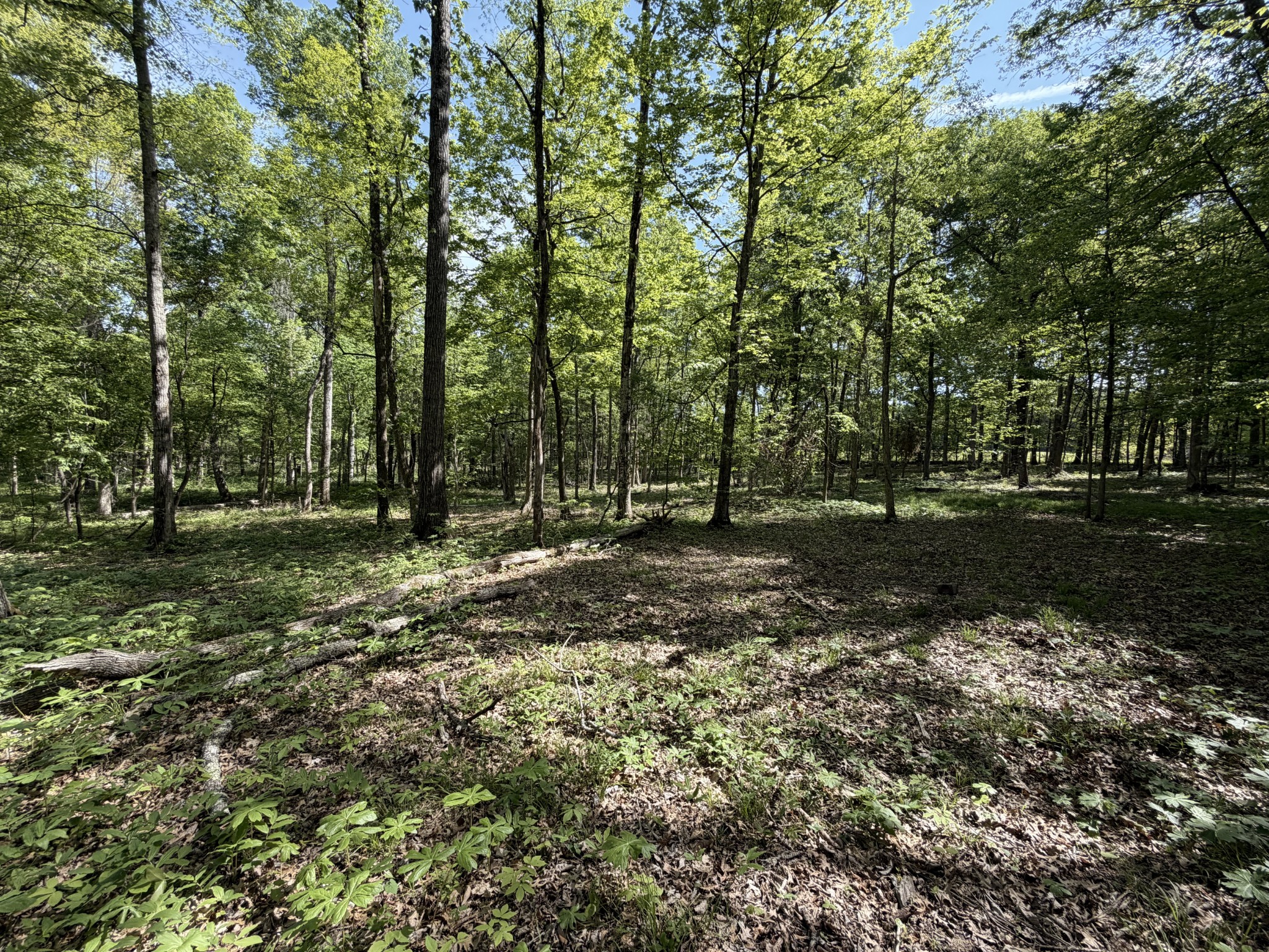 0 Millersburg Road