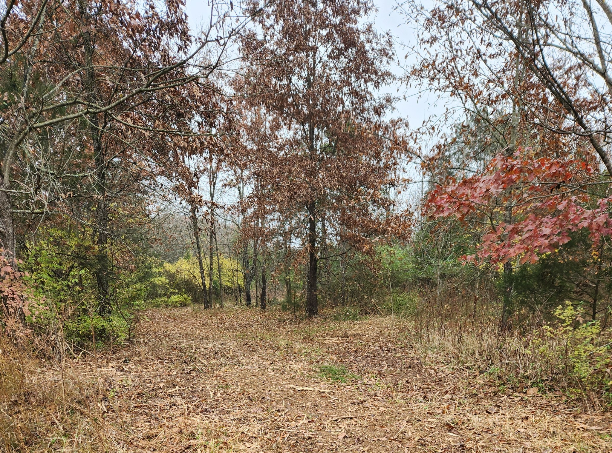 4230 Peytonsville Trinity Rd Property Photo 1